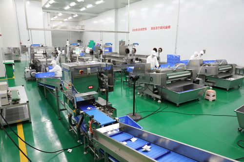 拜泉縣 技術咨詢賦能重點項目，全力開創建設新局面