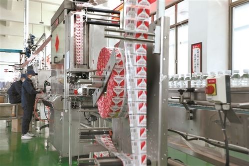 拉薩文明網技術咨詢服務指南 技術支持、常見問題與優化建議